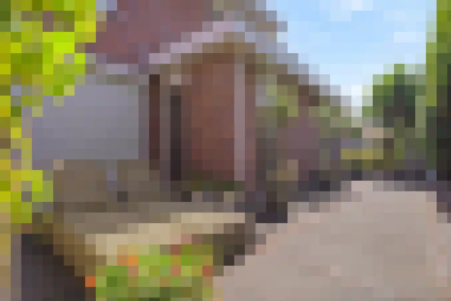 Fazanterie 12 Naaldwijk thumbnail 47