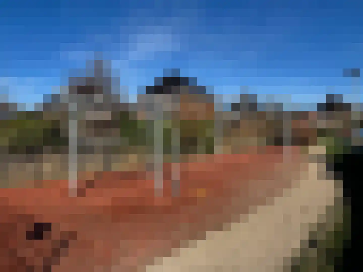 Fazanterie 12 Naaldwijk thumbnail 52