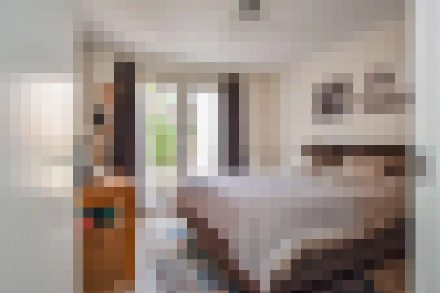 Fazanterie 12 Naaldwijk thumbnail 7