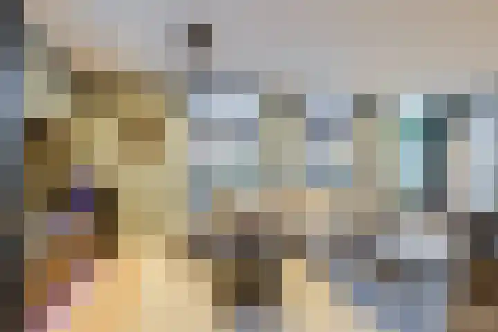 Fazantlaan 1 Honselersdijk thumbnail 11