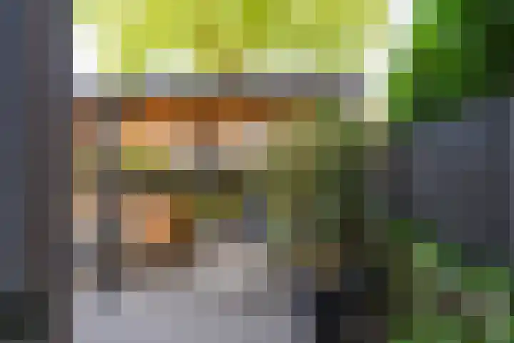 Fazantlaan 1 Honselersdijk thumbnail 13