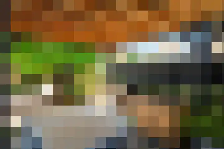 Fazantlaan 1 Honselersdijk thumbnail 15