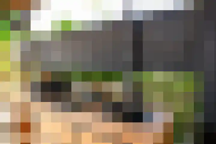 Fazantlaan 1 Honselersdijk thumbnail 16