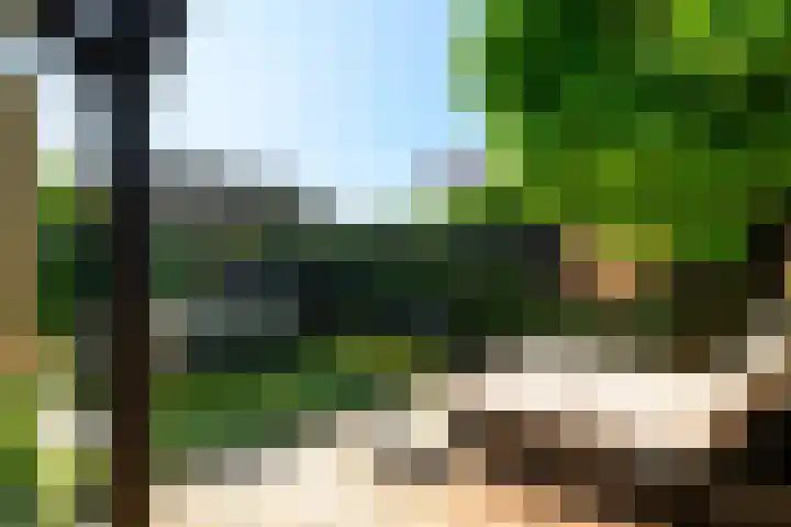 Fazantlaan 1 Honselersdijk thumbnail 19