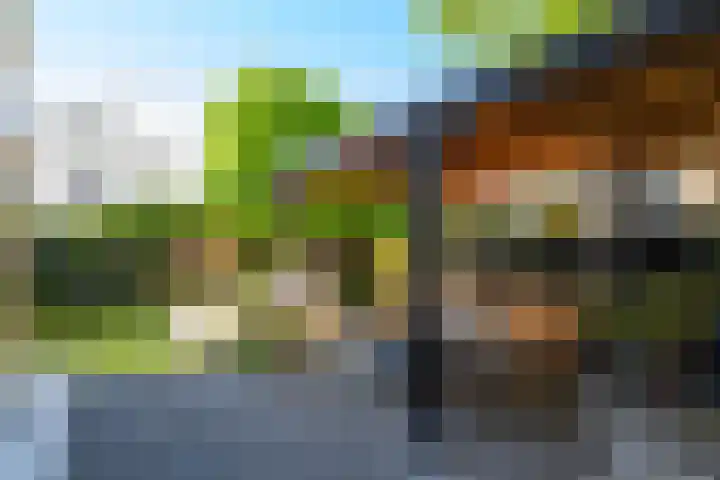 Fazantlaan 1 Honselersdijk foto 2