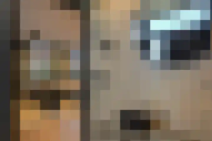 Fazantlaan 1 Honselersdijk thumbnail 23