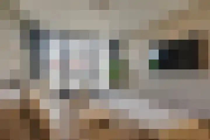 Fazantlaan 1 Honselersdijk thumbnail 28