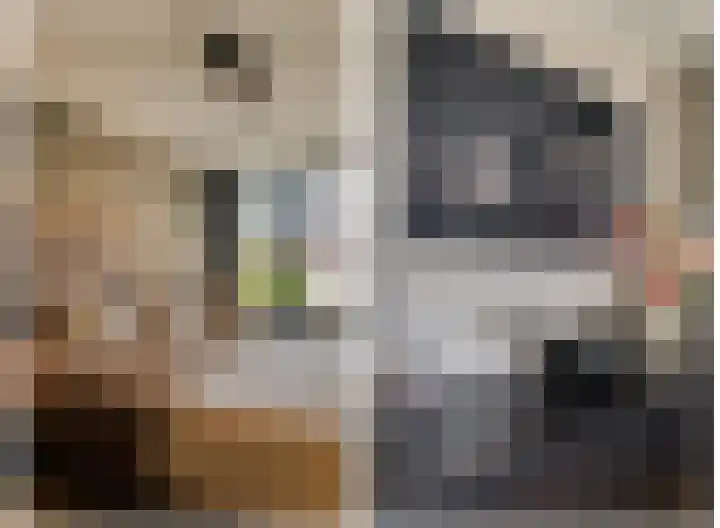 Fazantlaan 1 Honselersdijk thumbnail 29