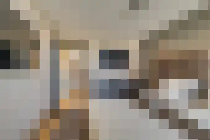 Fazantlaan 1 Honselersdijk thumbnail 30