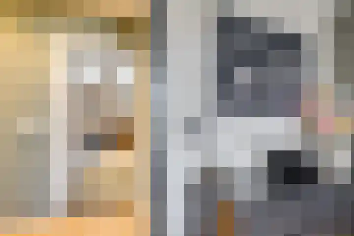 Fazantlaan 1 Honselersdijk thumbnail 31
