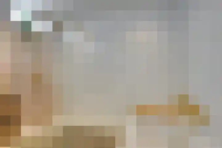 Fazantlaan 1 Honselersdijk thumbnail 33