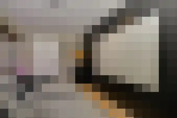 Fazantlaan 1 Honselersdijk thumbnail 37