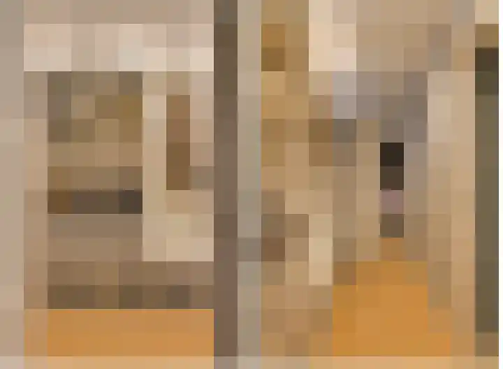 Fazantlaan 1 Honselersdijk thumbnail 38