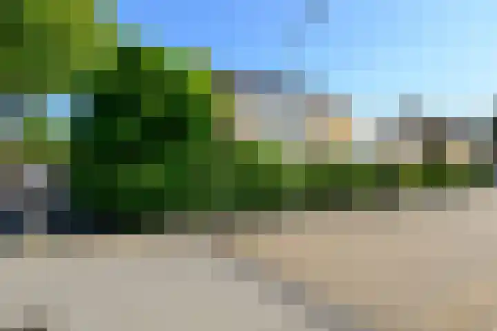 Fazantlaan 1 Honselersdijk thumbnail 39
