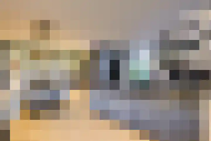 Fazantlaan 1 Honselersdijk thumbnail 4