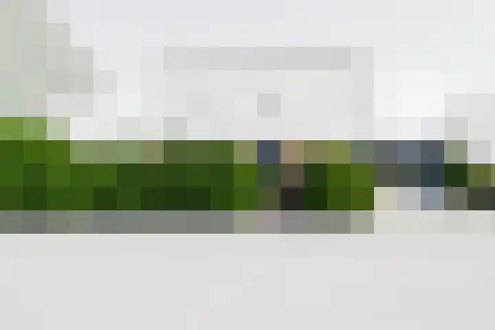 Fazantlaan 1 Honselersdijk thumbnail 43
