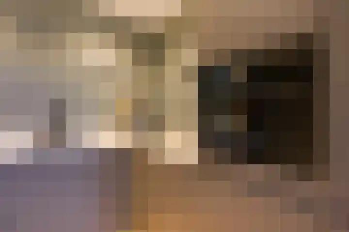 Fazantlaan 1 Honselersdijk thumbnail 7