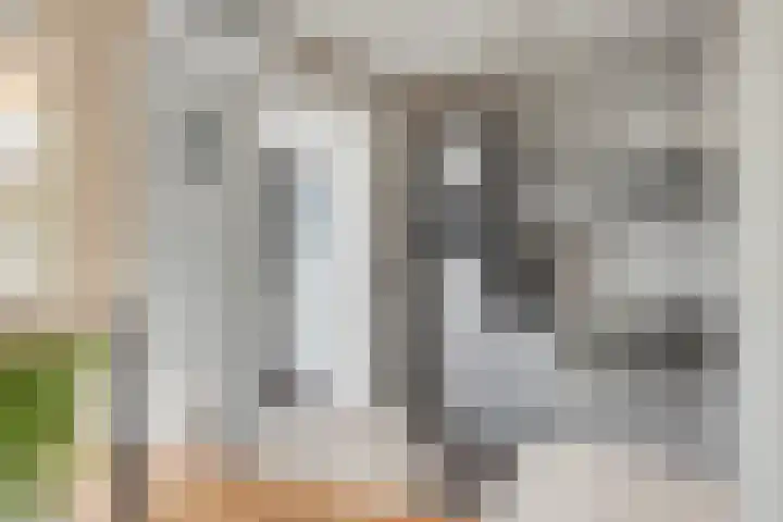 Fazantlaan 116 Budel thumbnail 10