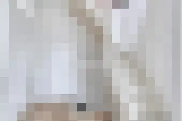 Fazantlaan 116 Budel thumbnail 13
