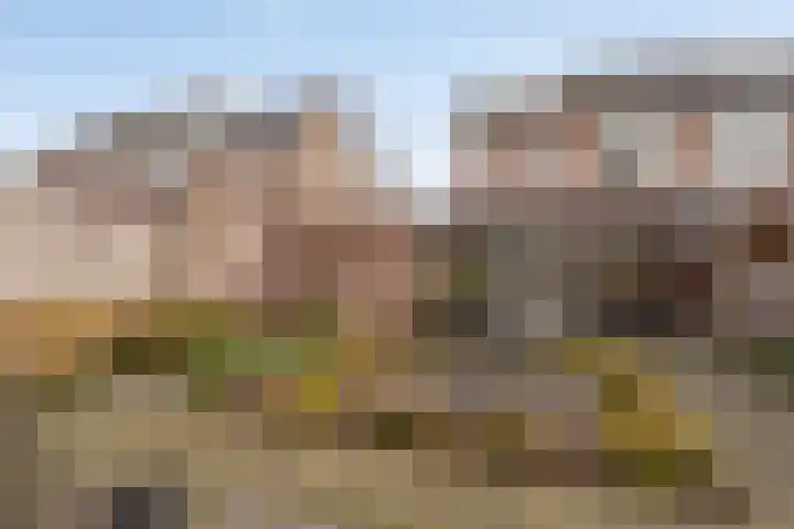 Fazantlaan 116 Budel thumbnail 26