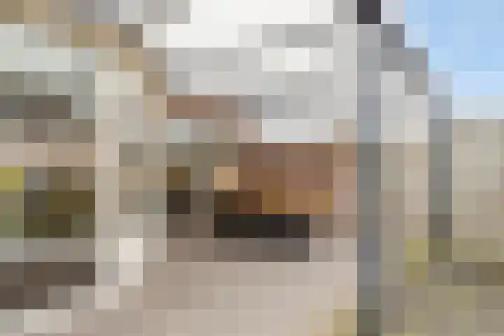 Fazantlaan 116 Budel thumbnail 27