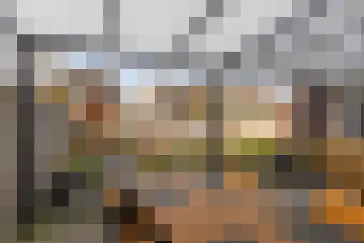 Fazantlaan 116 Budel thumbnail 28