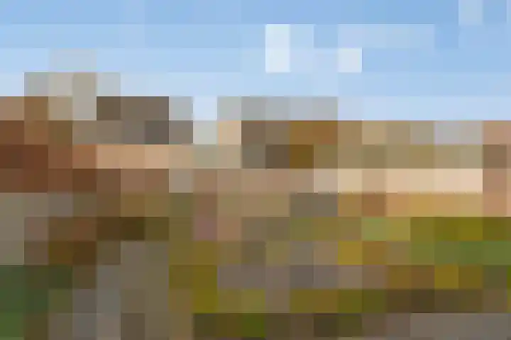 Fazantlaan 116 Budel thumbnail 29