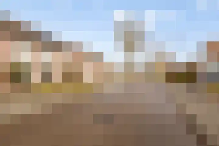 Fazantlaan 116 Budel thumbnail 30