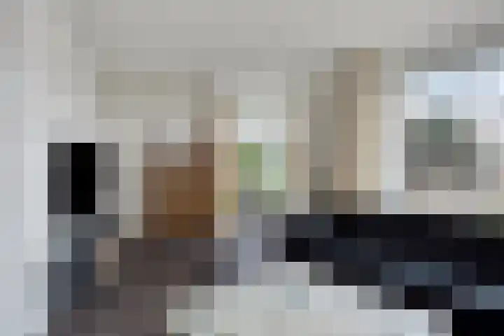 Fazantlaan 116 Budel thumbnail 4