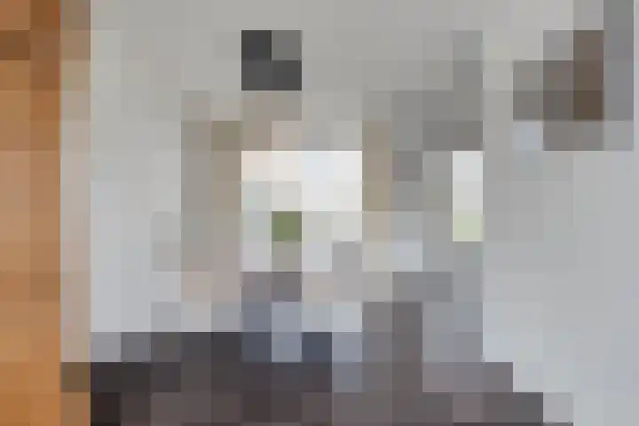 Fazantlaan 116 Budel thumbnail 5