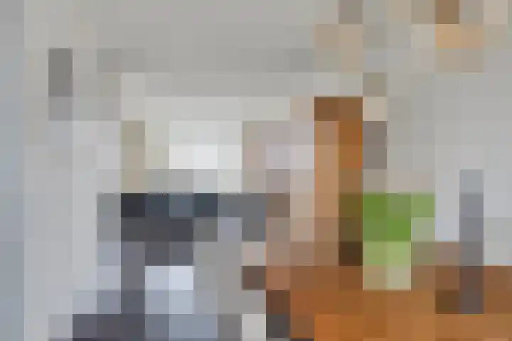 Fazantlaan 116 Budel thumbnail 6