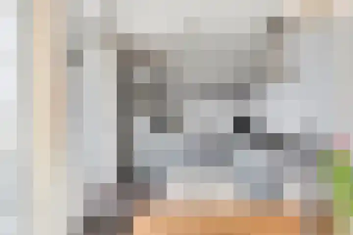 Fazantlaan 116 Budel thumbnail 7
