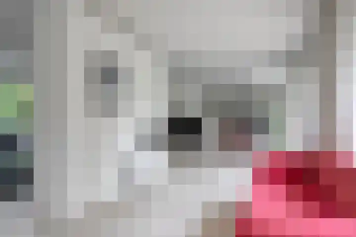 Fazantlaan 12 Almere thumbnail 13