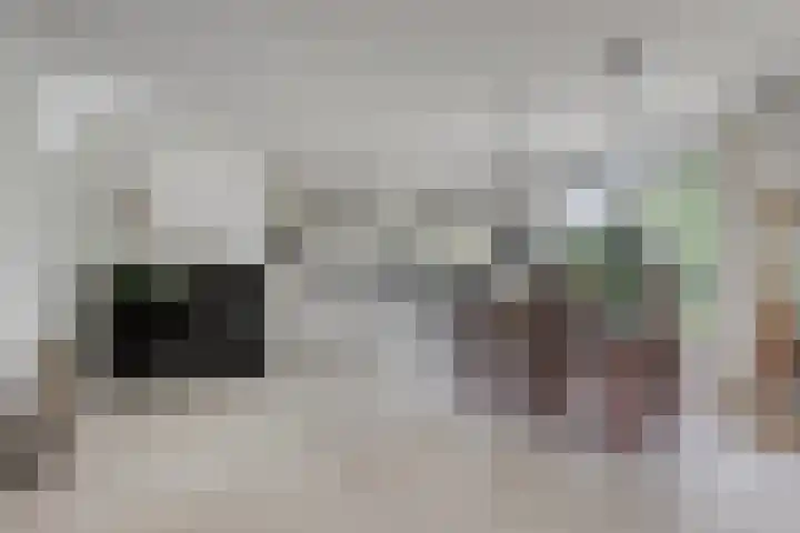 Fazantlaan 12 Almere thumbnail 15