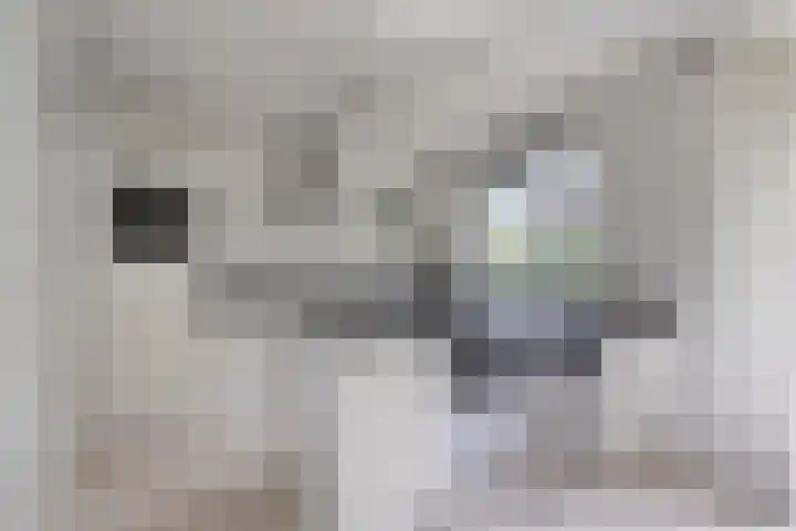 Fazantlaan 12 Almere thumbnail 16