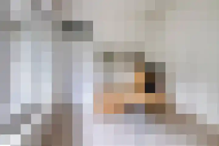 Fazantlaan 12 Almere thumbnail 20