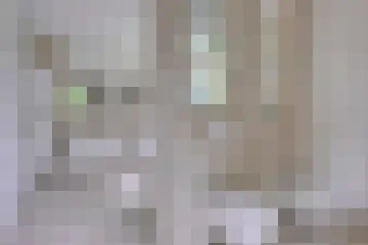 Fazantlaan 12 Almere thumbnail 24