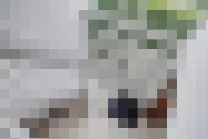 Fazantlaan 12 Almere thumbnail 27