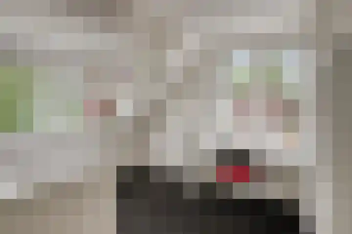 Fazantlaan 12 Almere thumbnail 33