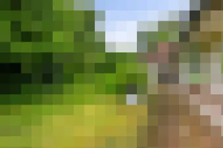 Fazantlaan 12 Almere thumbnail 44