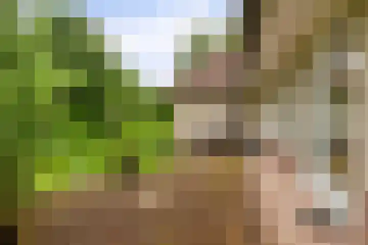 Fazantlaan 12 Almere thumbnail 45