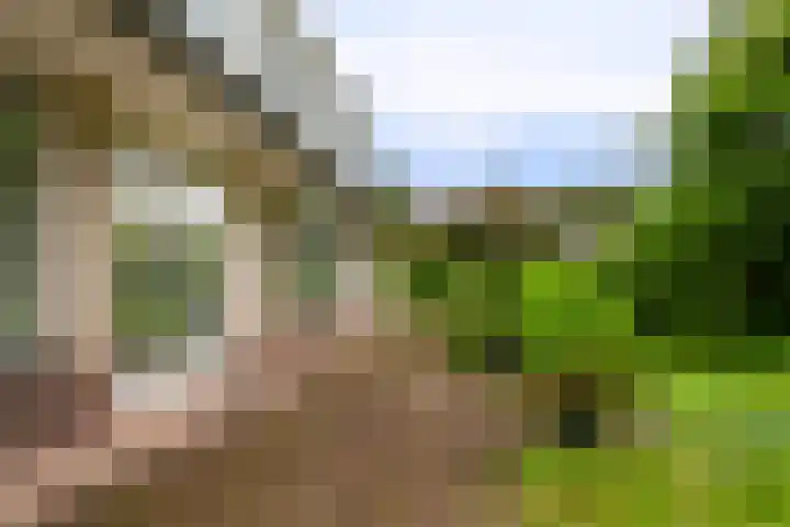 Fazantlaan 12 Almere thumbnail 46