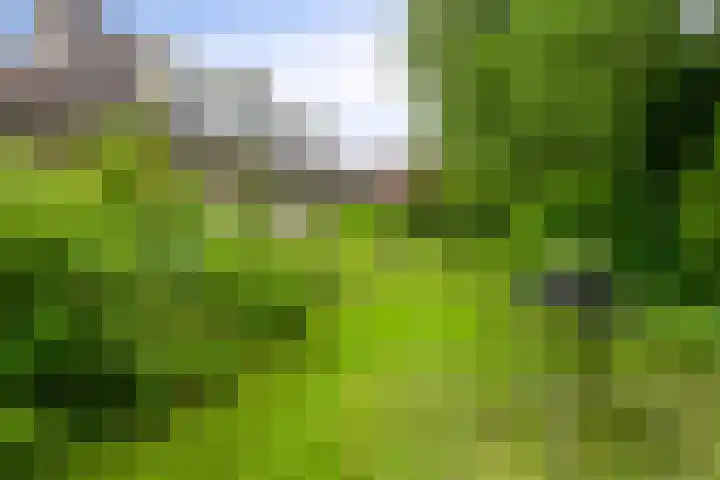 Fazantlaan 12 Almere thumbnail 47