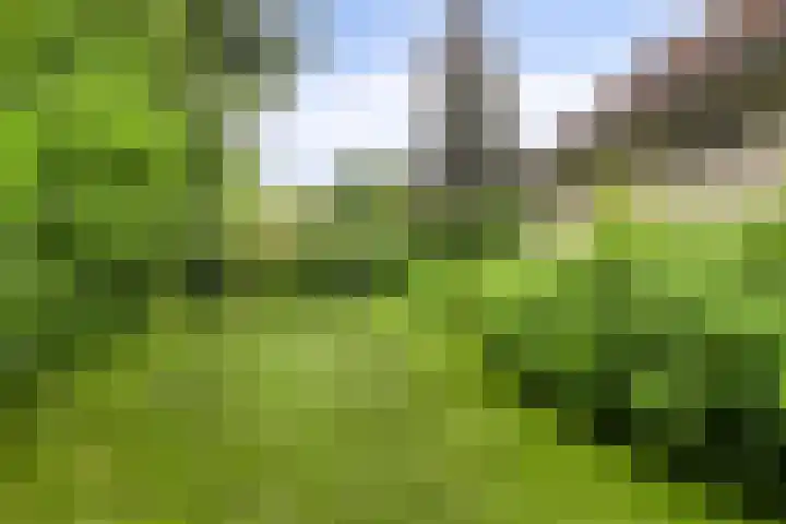 Fazantlaan 12 Almere thumbnail 48