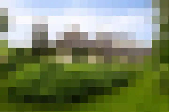 Fazantlaan 12 Almere thumbnail 49