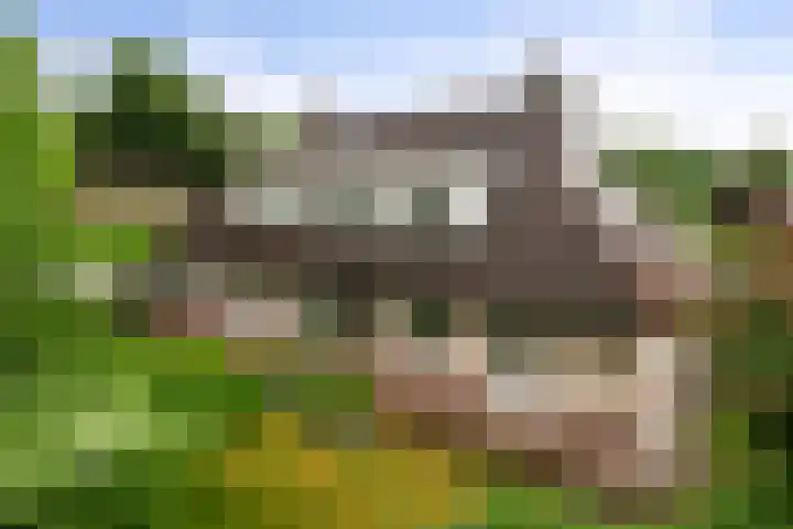Fazantlaan 12 Almere thumbnail 50