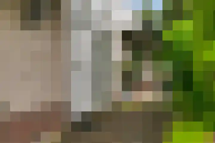 Fazantlaan 12 Almere thumbnail 6