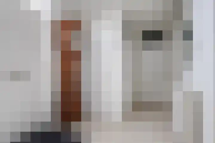 Fazantlaan 12 Almere thumbnail 9