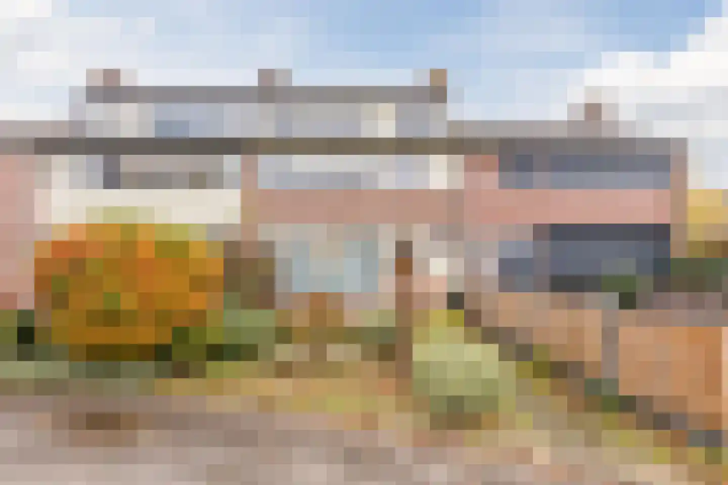 Fazantlaan 135 Dieren