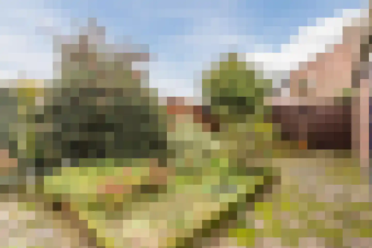 Fazantlaan 135 Dieren thumbnail 29